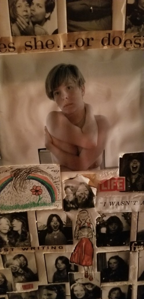 The author in a collage of photobooth pictures and a nude of her. The collage asks Does she or does she?